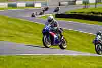 cadwell-no-limits-trackday;cadwell-park;cadwell-park-photographs;cadwell-trackday-photographs;enduro-digital-images;event-digital-images;eventdigitalimages;no-limits-trackdays;peter-wileman-photography;racing-digital-images;trackday-digital-images;trackday-photos
